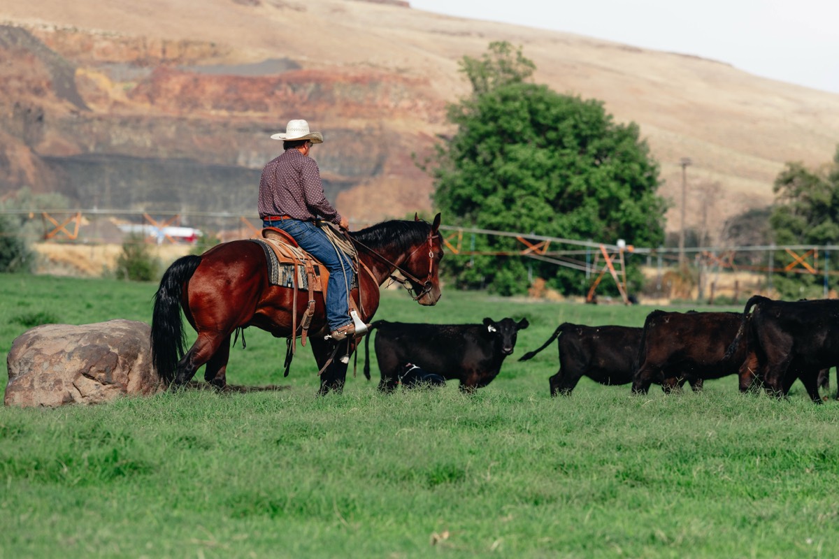 Idaho brand and lifestyle photography by Sage and Spur