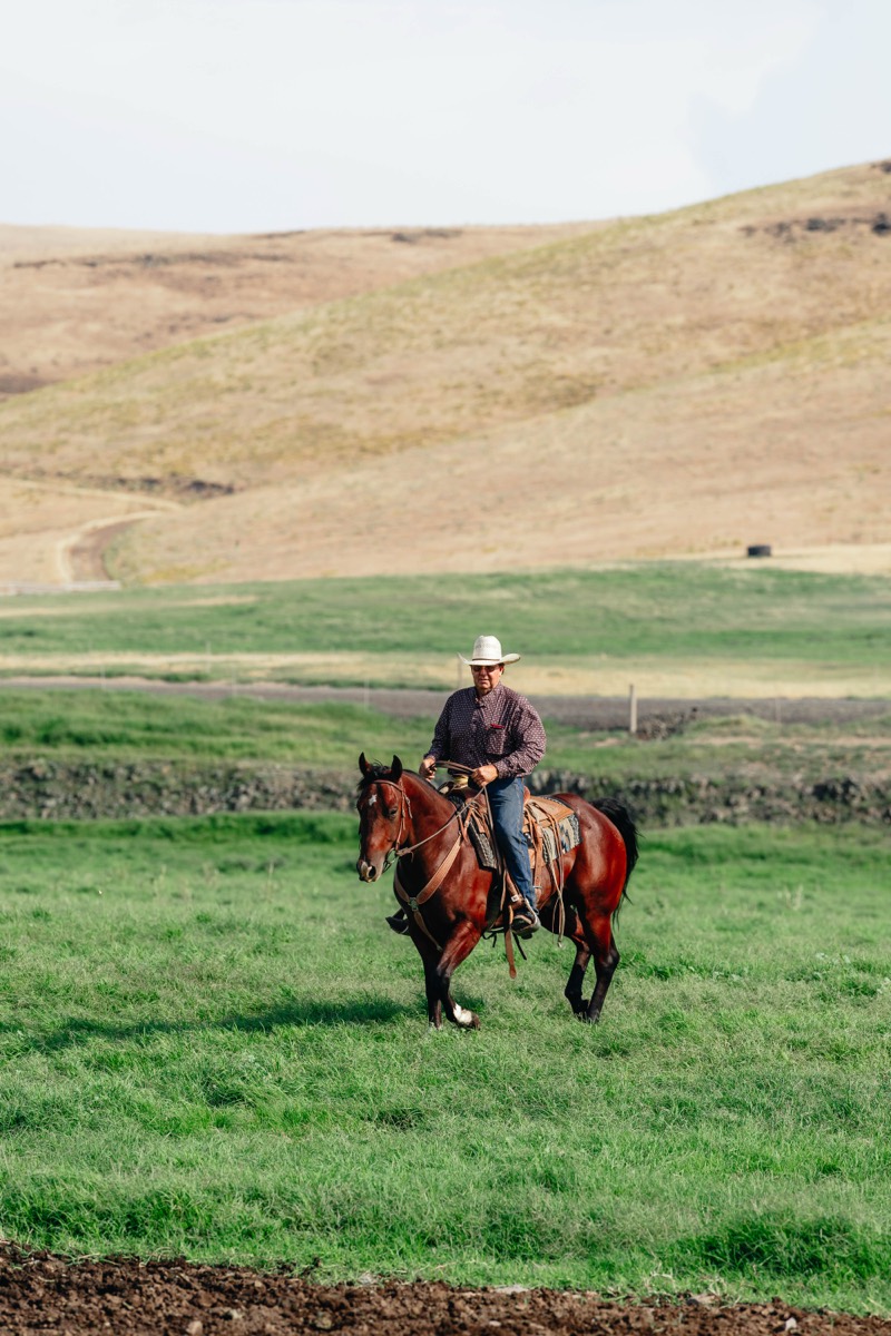 Idaho brand and lifestyle photography by Sage and Spur