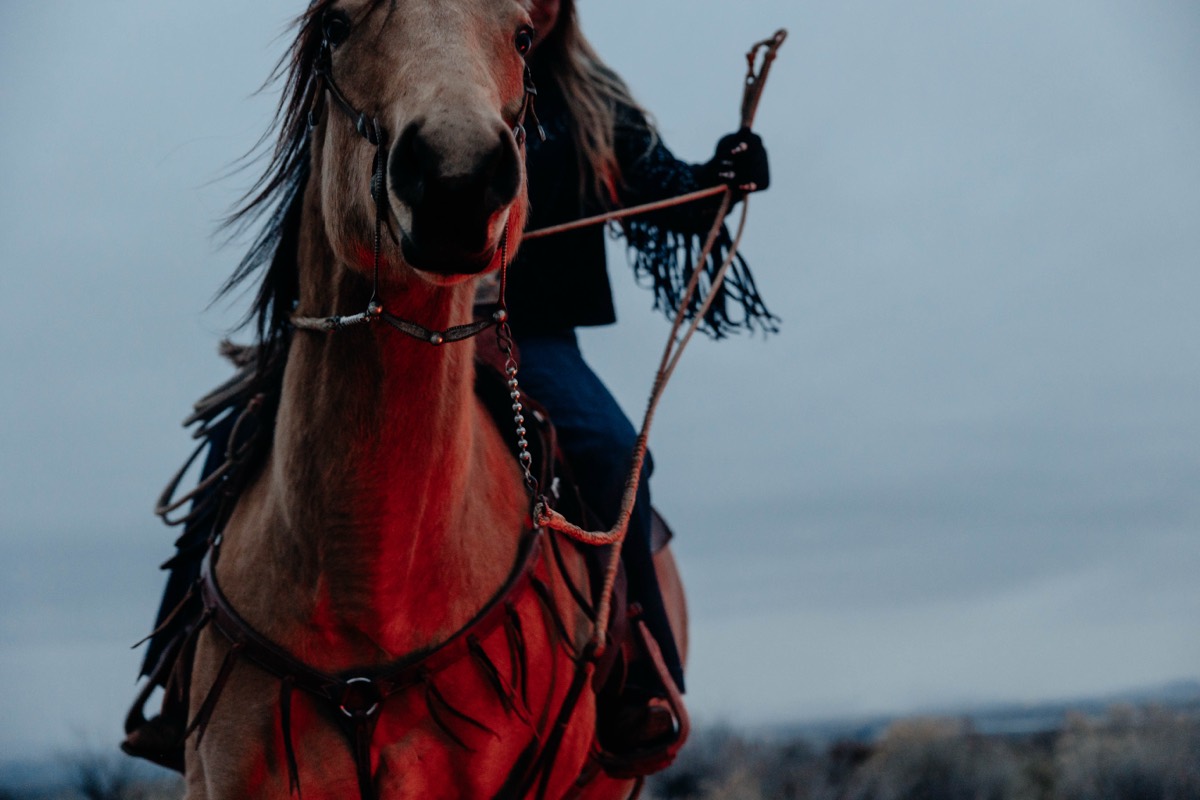 Idaho brand and lifestyle photography by Sage and Spur