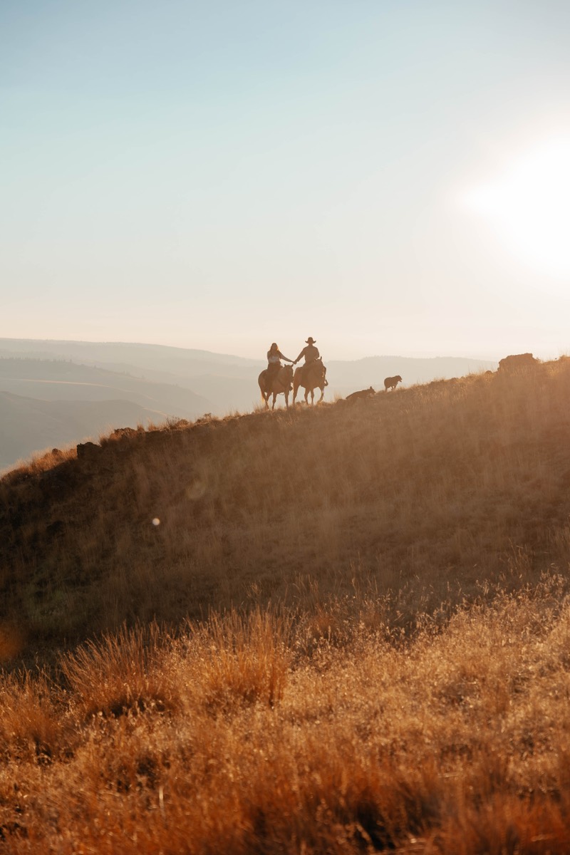 Idaho engagement session by Sage and Spur