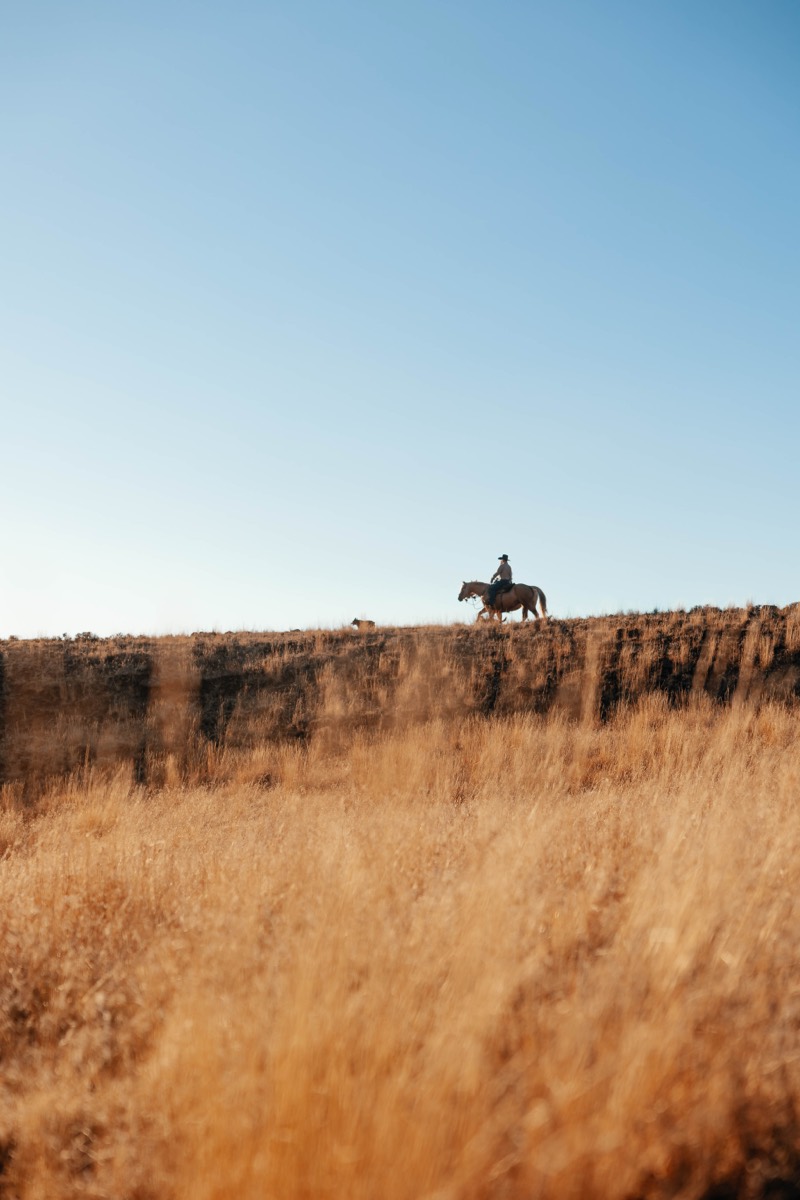 Idaho engagement session by Sage and Spur