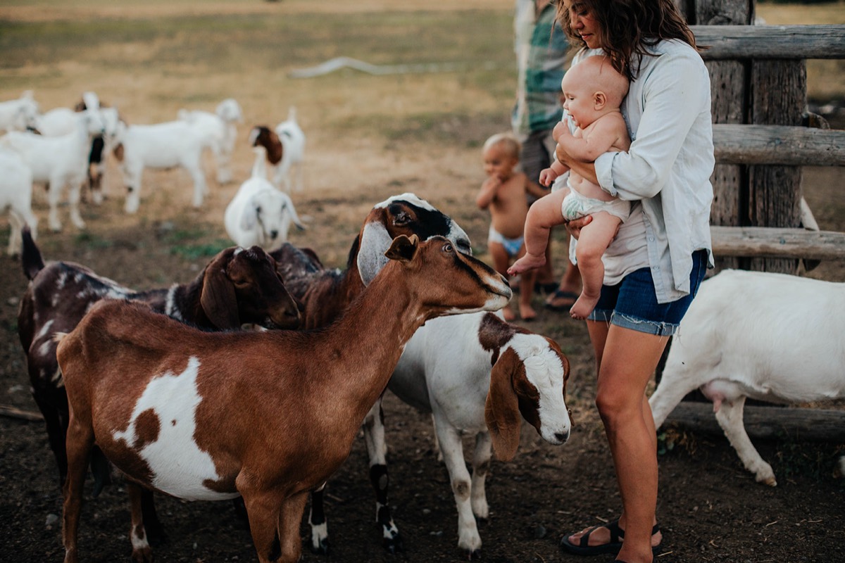Idaho family photography by Sage and Spur