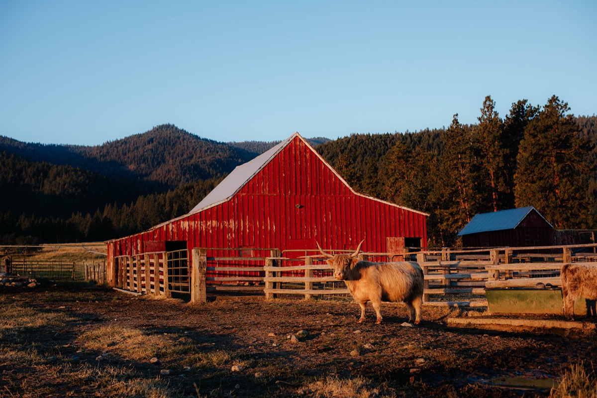 Idaho lifestyle photography by Sage and Spur