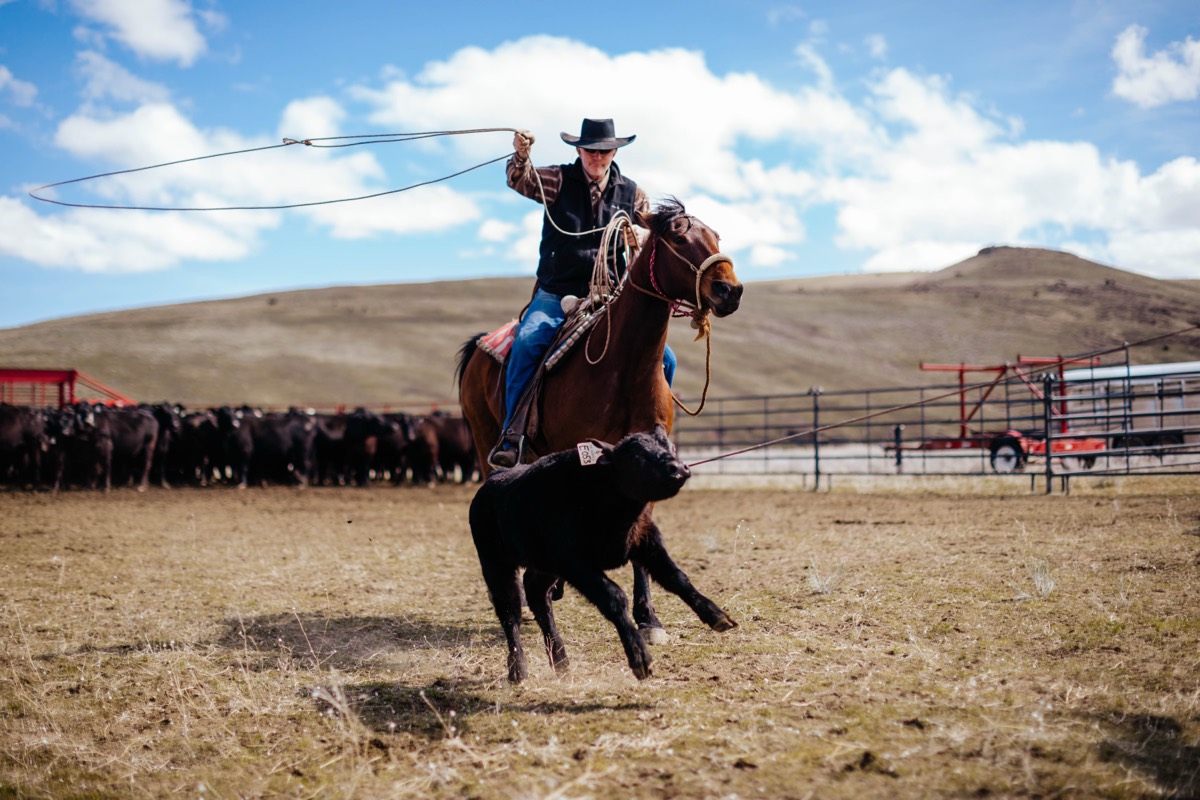 Idaho lifestyle photography by Sage and Spur