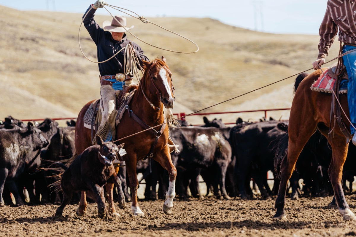Idaho lifestyle photography by Sage and Spur