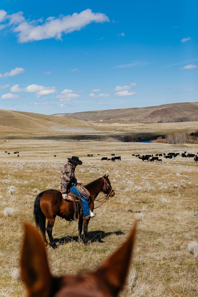 Idaho lifestyle photography by Sage and Spur