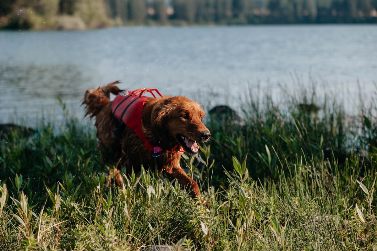 Idaho lifestyle photography by Sage and Spur