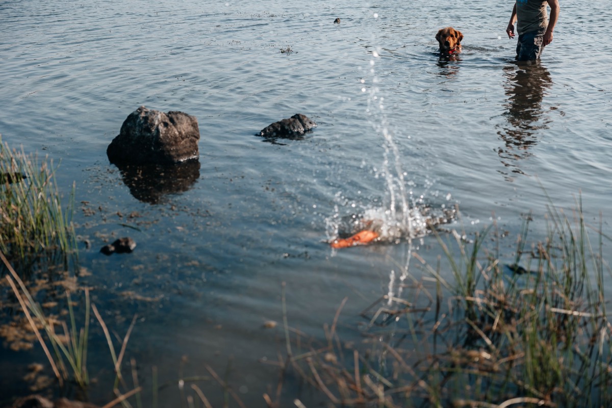 Idaho lifestyle photography by Sage and Spur