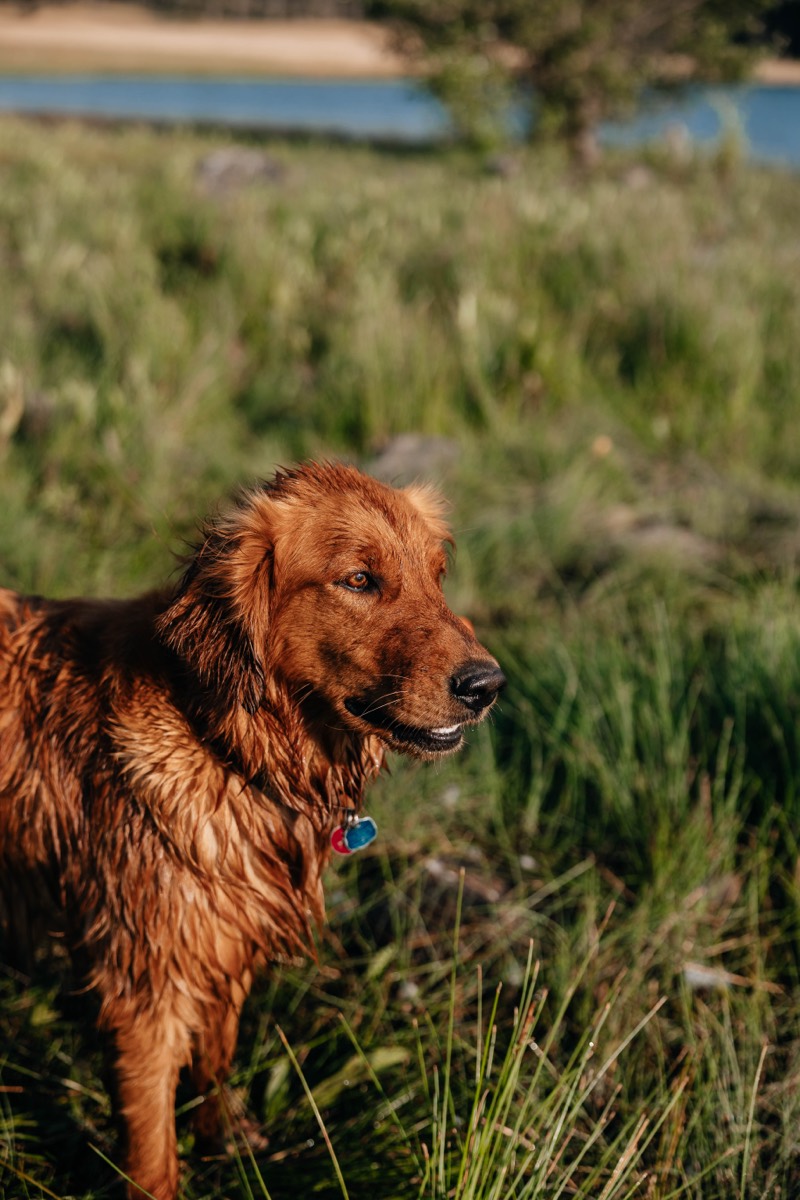 Idaho lifestyle photography by Sage and Spur