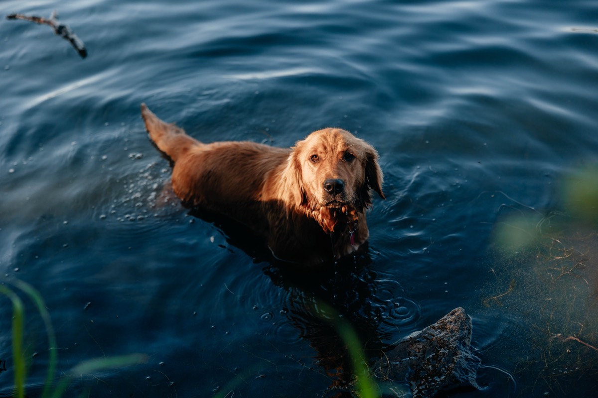 Idaho lifestyle photography by Sage and Spur