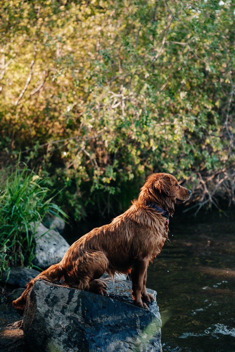 Idaho lifestyle photography by Sage and Spur
