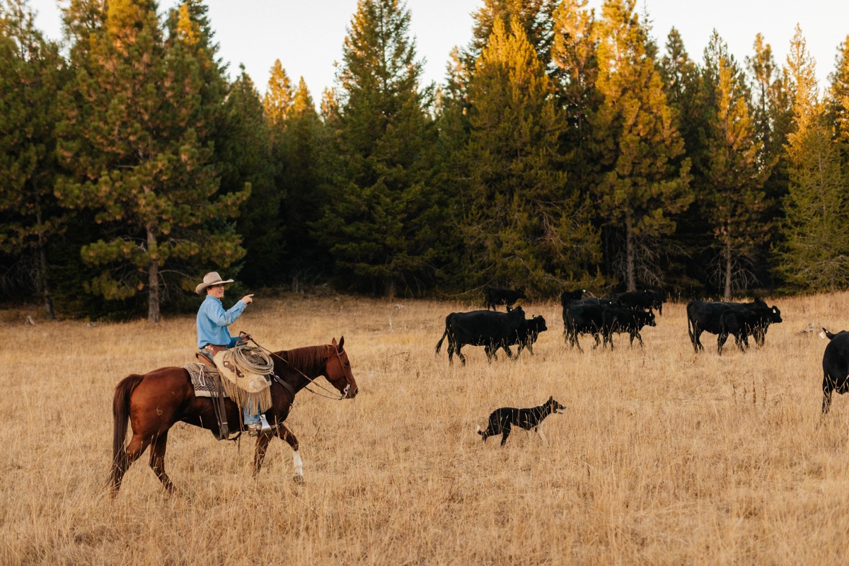 Idaho lifestyle photography by Sage and Spur