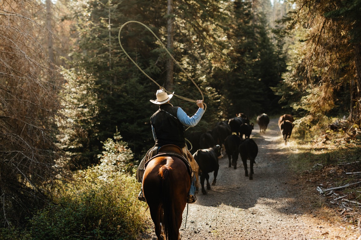 Idaho lifestyle photography by Sage and Spur