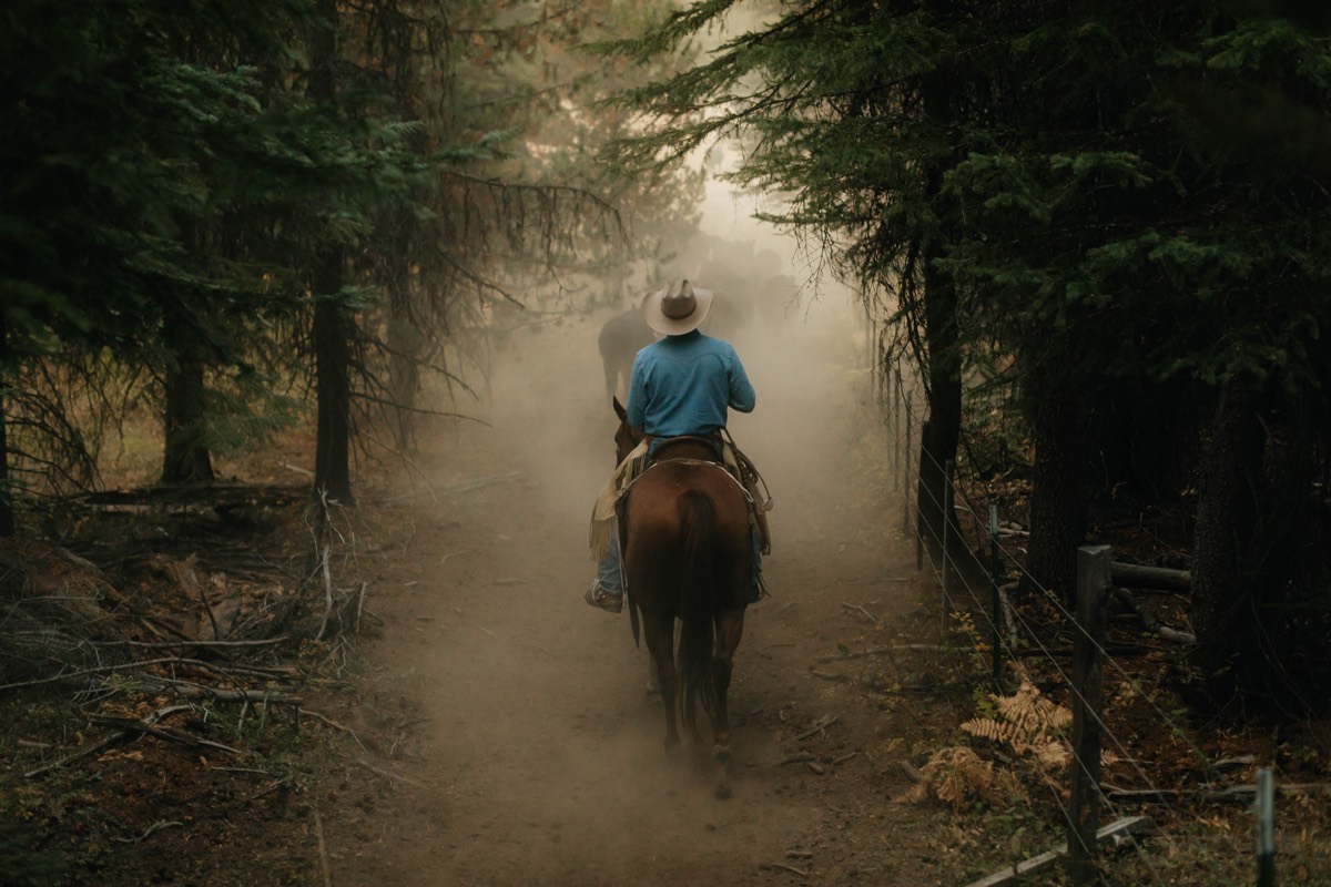 Idaho lifestyle photography by Sage and Spur