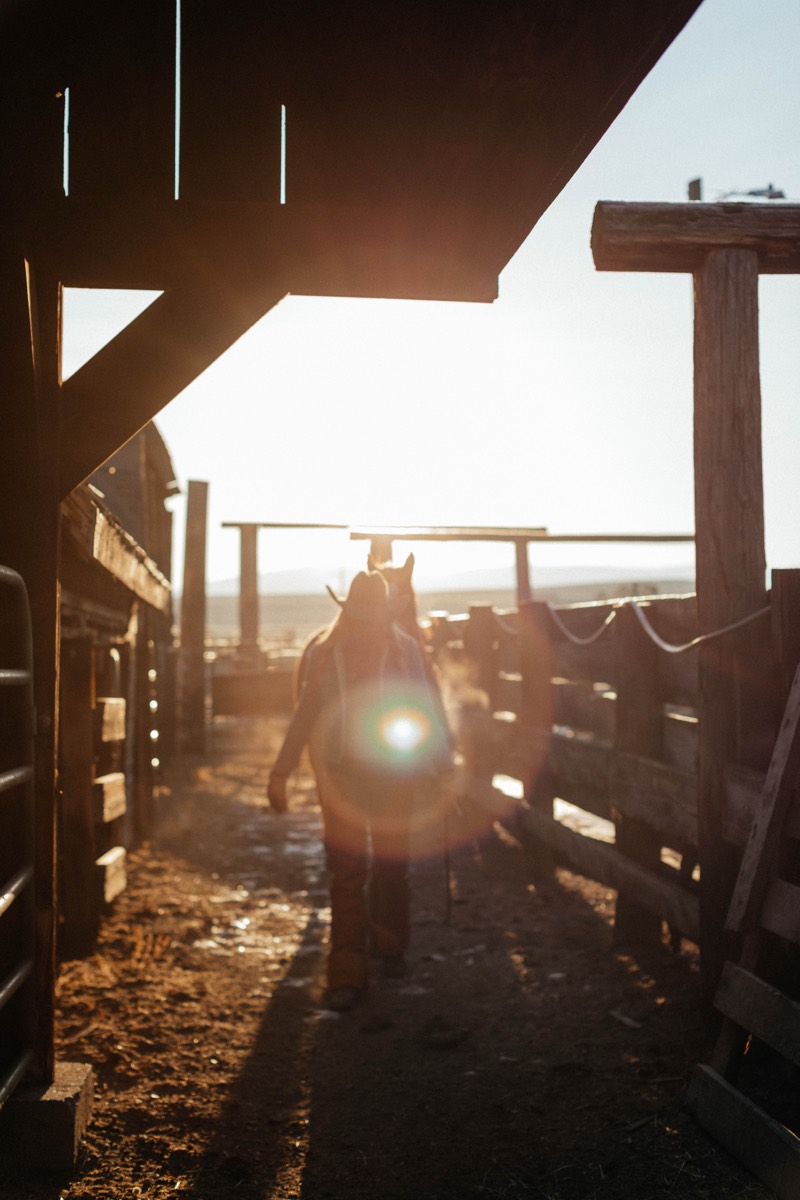 Idaho lifestyle photography by Sage and Spur