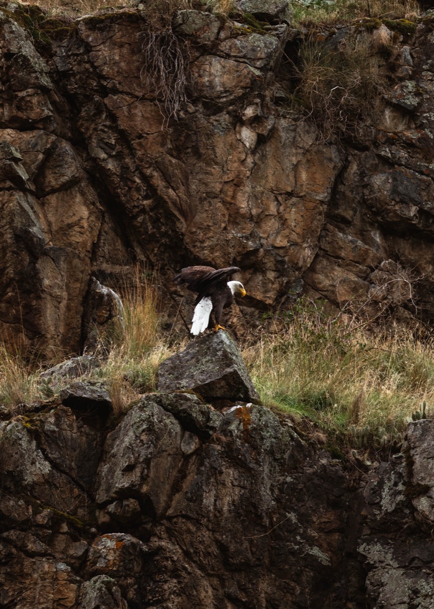 Idaho lifestyle photography by Sage and Spur