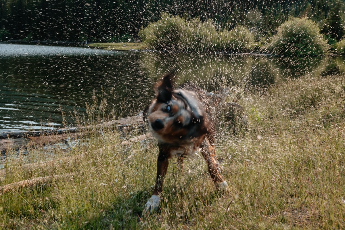 Idaho lifestyle photography by Sage and Spur