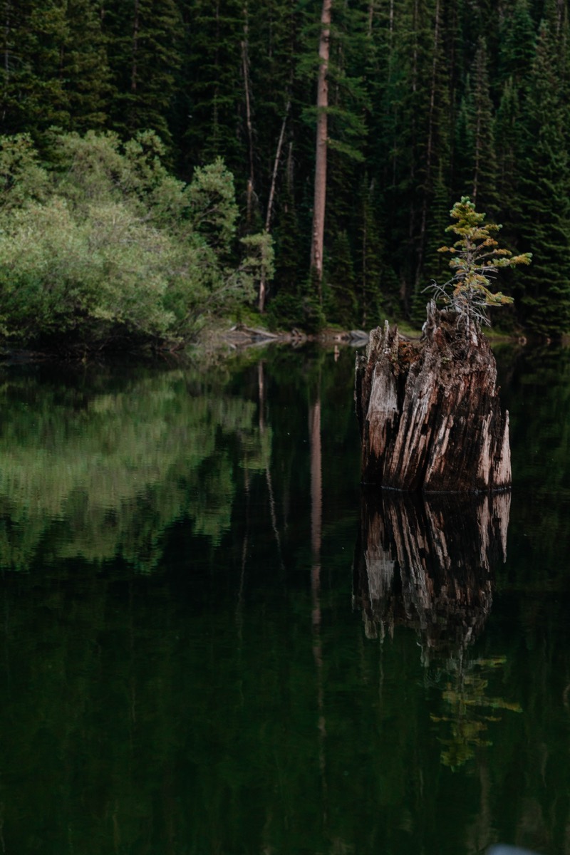 Idaho lifestyle photography by Sage and Spur
