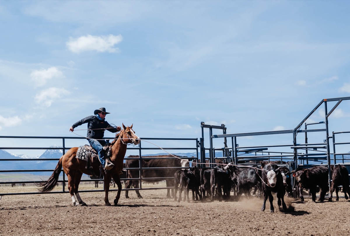 Idaho lifestyle photography by Sage and Spur