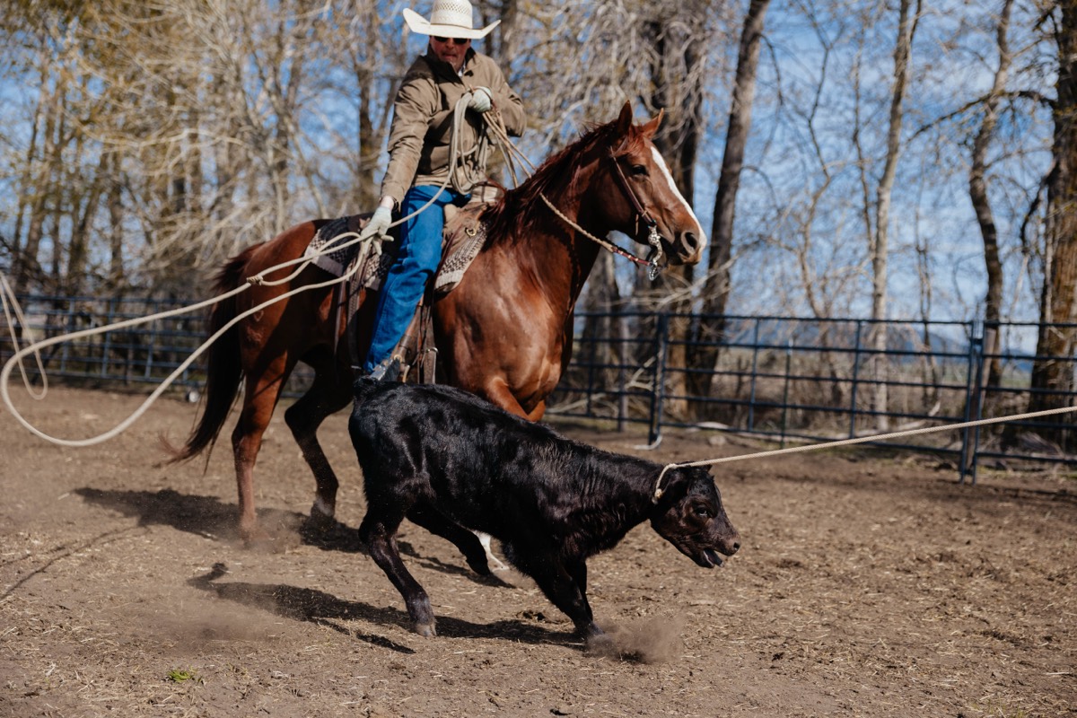 Idaho lifestyle photography by Sage and Spur