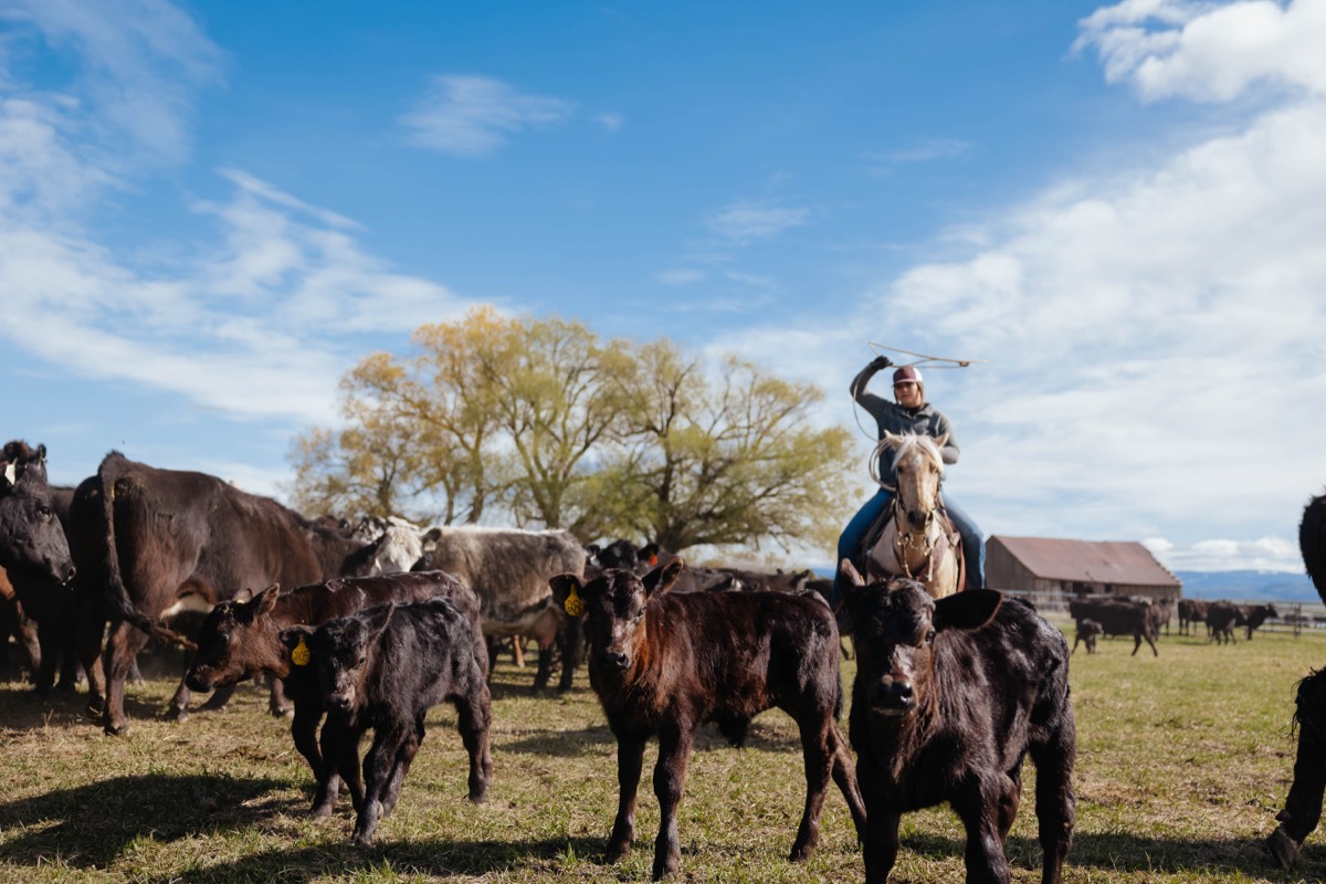 Idaho lifestyle photography by Sage and Spur