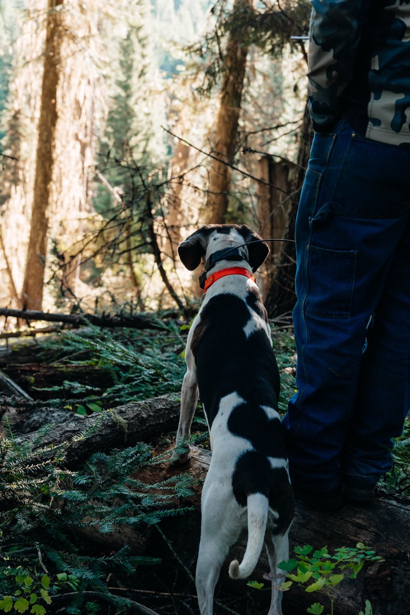 Idaho lifestyle photography by Sage and Spur