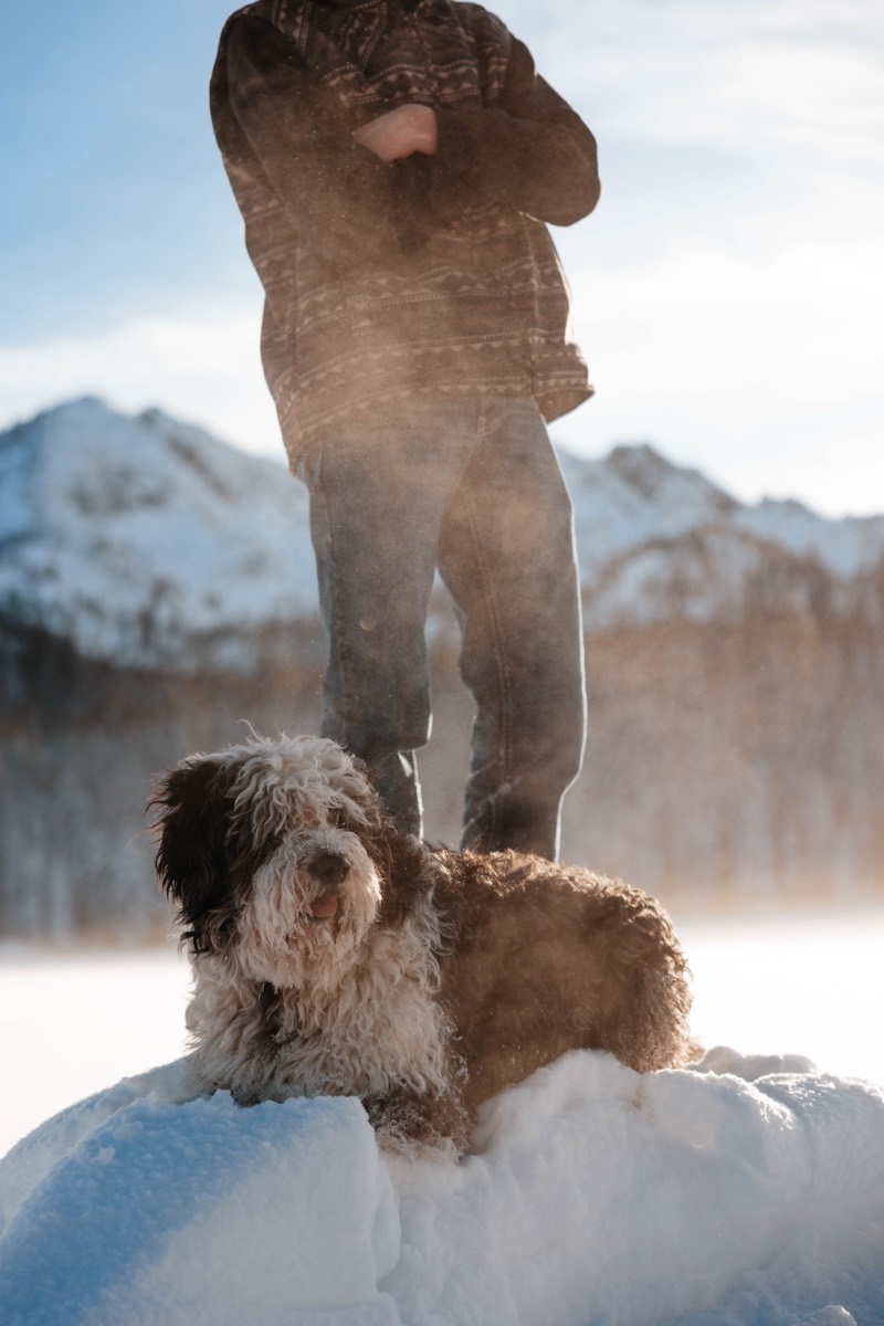 Idaho senior portrait by Sage and Spur